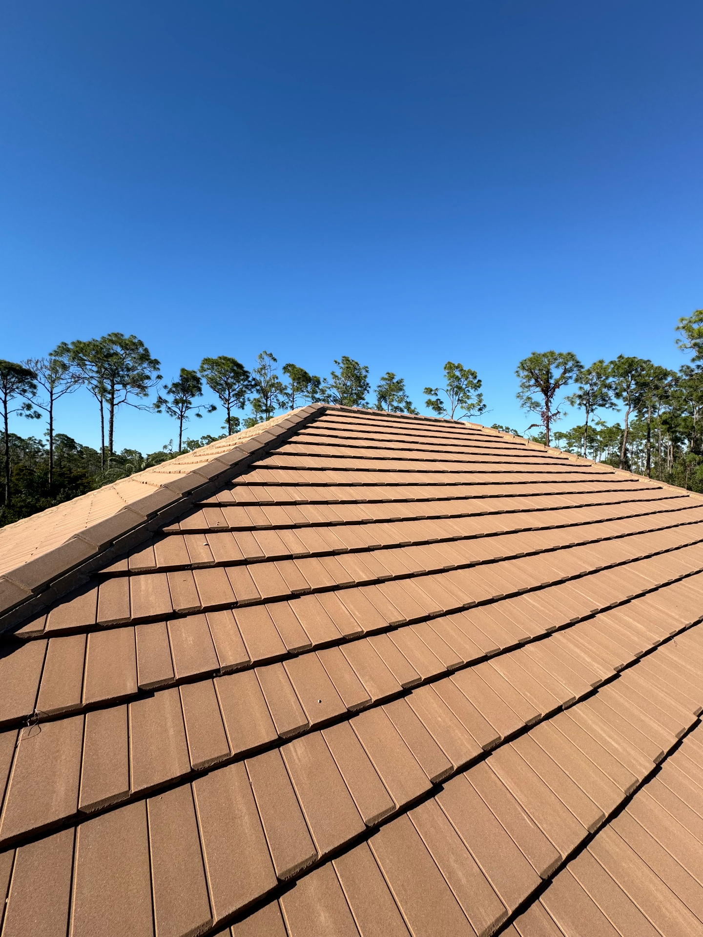 Naples Concrete Tile Re-Roof